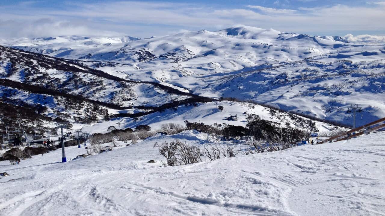 Image for read more article 'READ MORE'