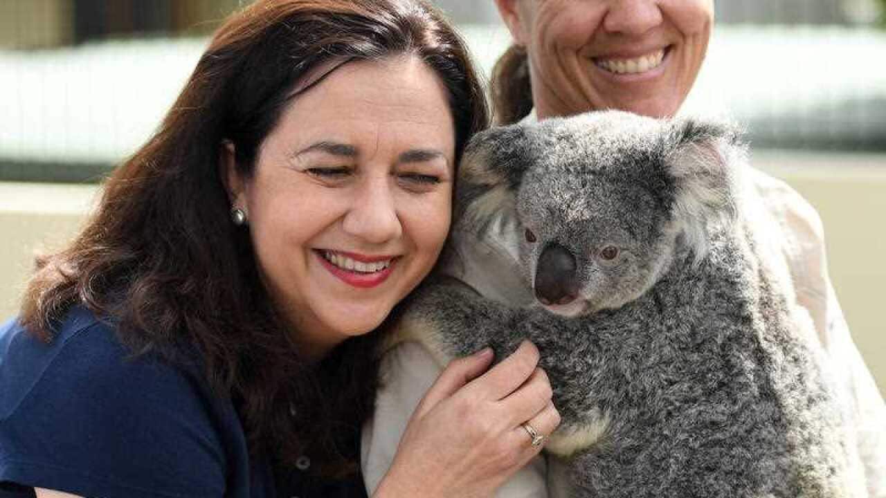 Queensland Premier Annastacia Palaszczuk poses for a photo with Ruby the koala during a visit to Australia Zoo in Beerwah, on the Sunshine Coast