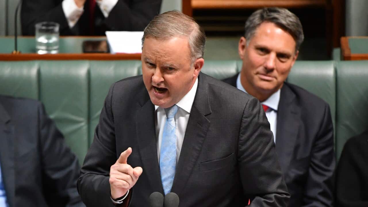 Opposition leader Anthony Albanese during Question Time in Canberra.