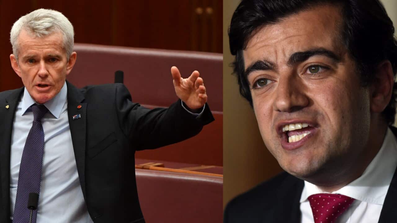 Sam Dastyari says comments by Malcolm Roberts show 18C debate going down 'dangerous' path.