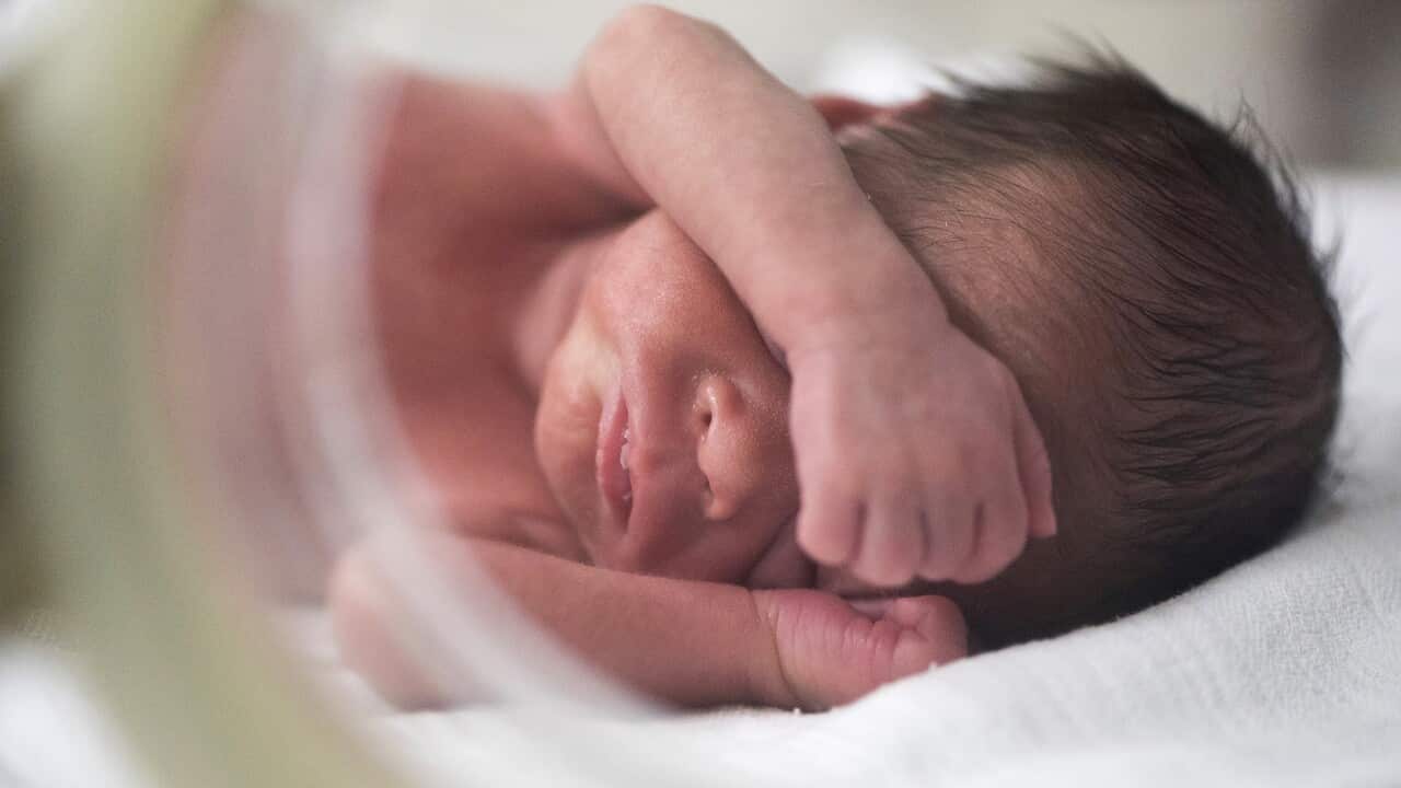 epaselect HUNGARY PHOTO SET WORLD PREMATURITY DAY