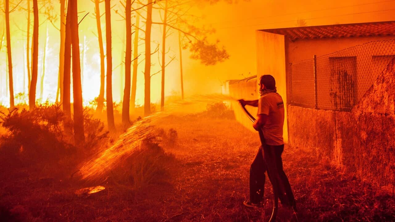 A man fights with a forest fire in Vieira de Leiria, Marinha Grande, center of Portugal, 16 October 2017.