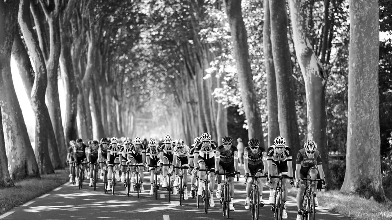 Scenics, Tour de France