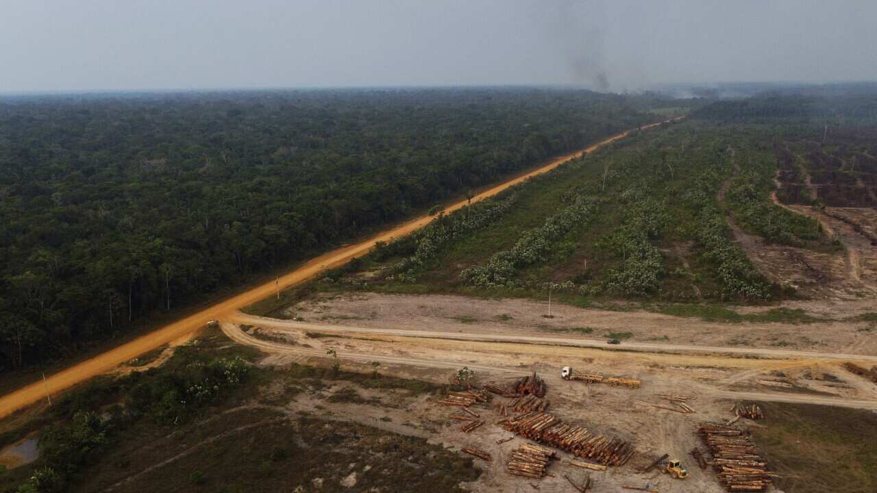 An area of forest on fire near a logging area in the Transamazonica highway region, in the municipality of Humaita, Amazonas state, Brazil