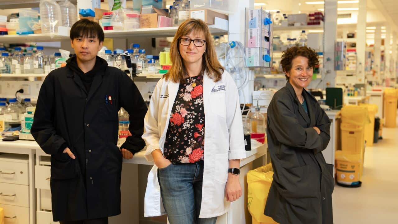 Image for read more article 'READ MORE'