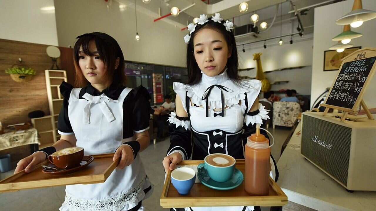 Maid cafe