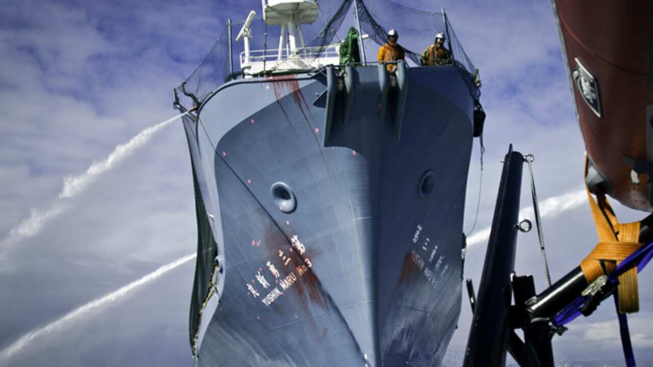 whaling_L_110218_aap_300644954
