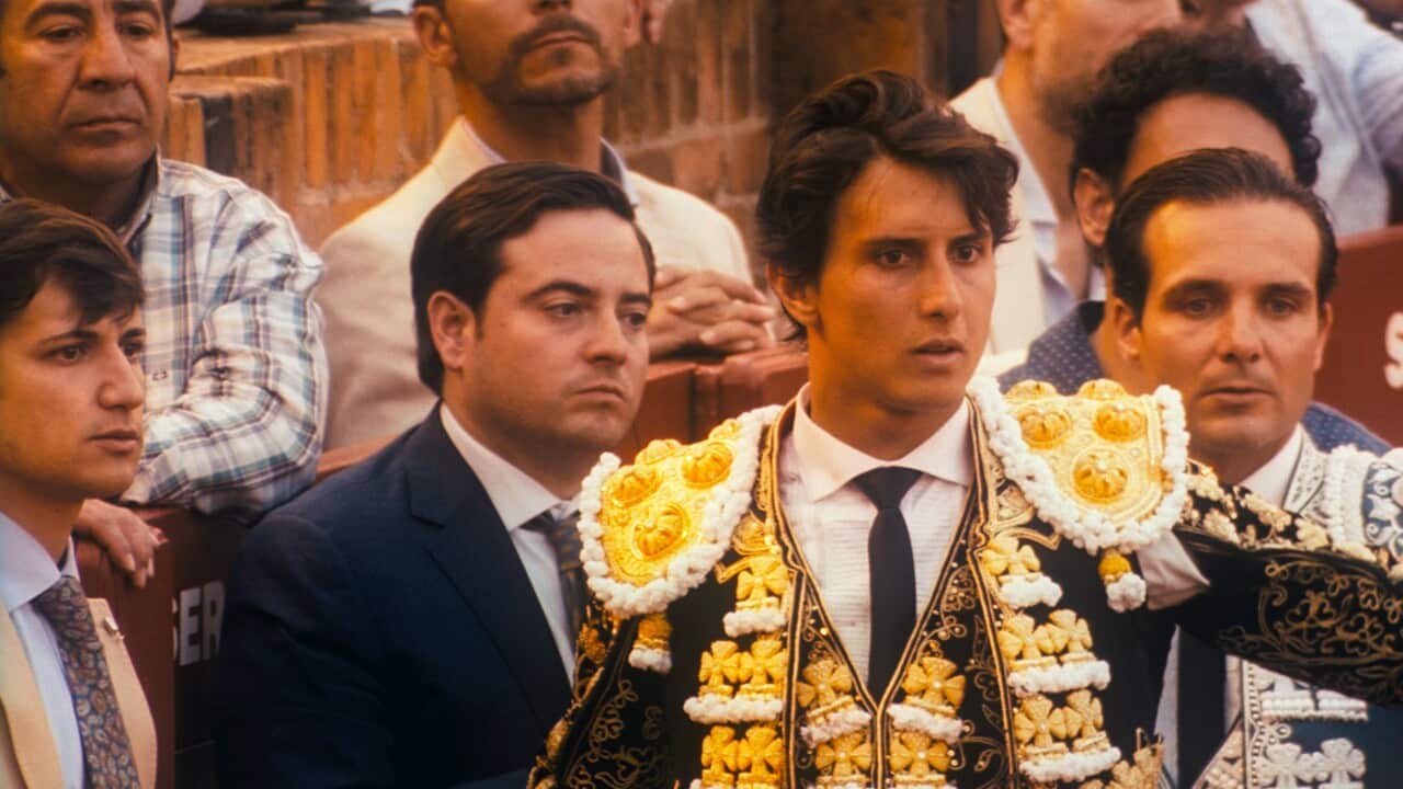 Afternoons of Solitude_key still 1.jpg