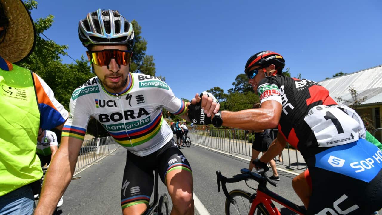 Peter Sagan, BORA-hansgrohe, Santos Tour Down Under