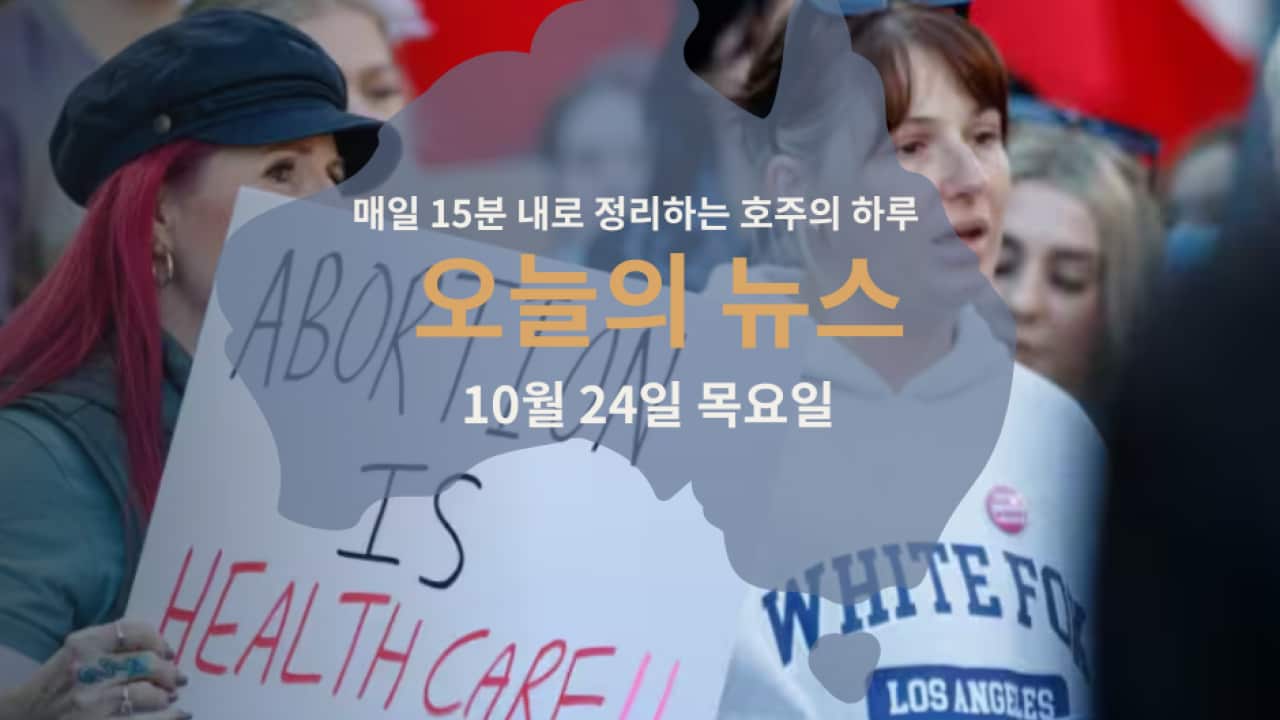 15news_web22 (1).png