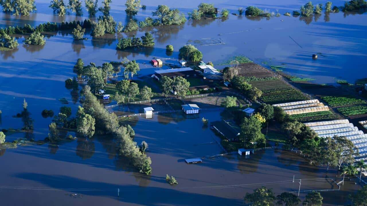 NSW flood