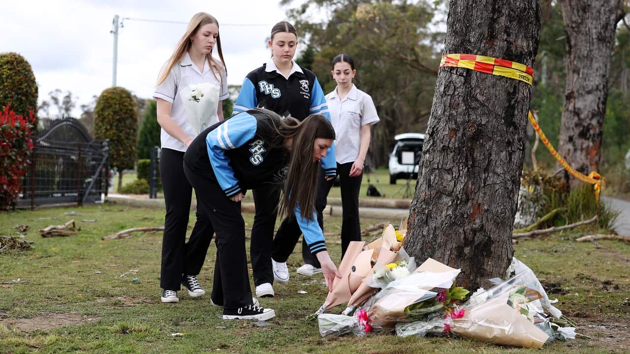 Teenagers place flowers underneath a tree.
