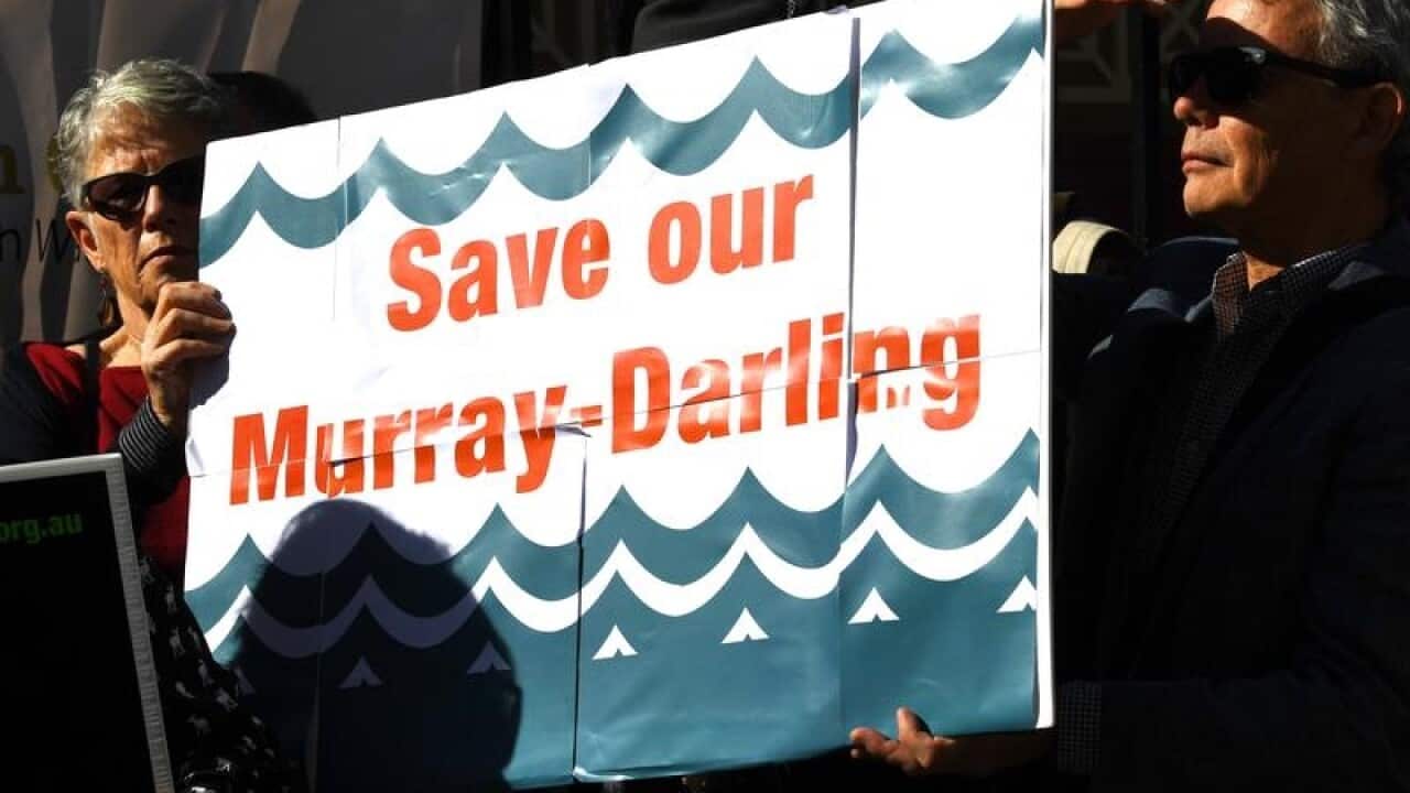 A report into the Murray-Darling Basin has been released.