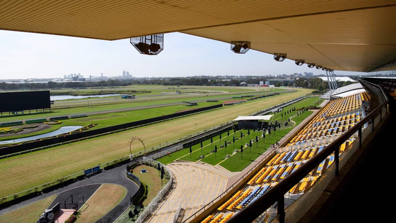 CHRIS MINNS ANNOUNCEMENT