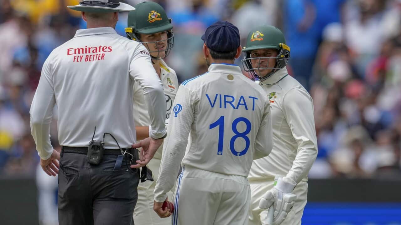 Australia India Cricket