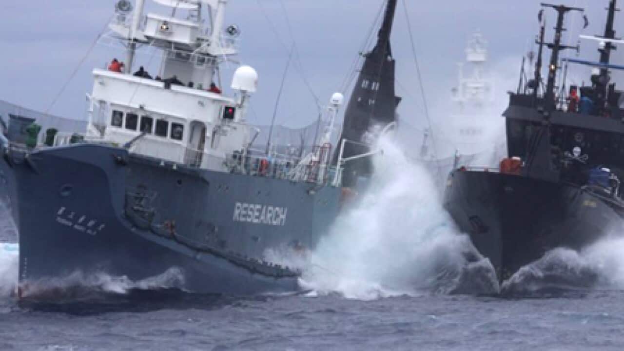 whaling_ship_100212_L_aap_1773273405