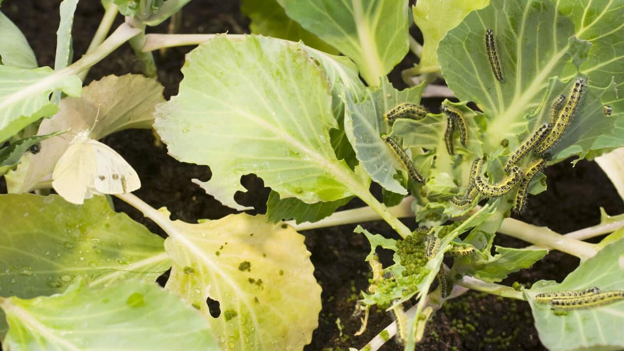 Image for read more article 'READ MORE'