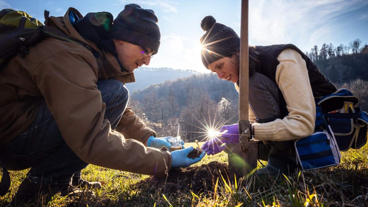 Soil Biodiversity