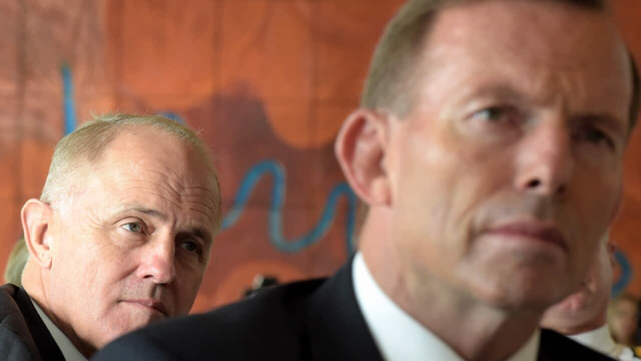 Then PM Tony Abbott and Communications minister Malcolm Turnbull