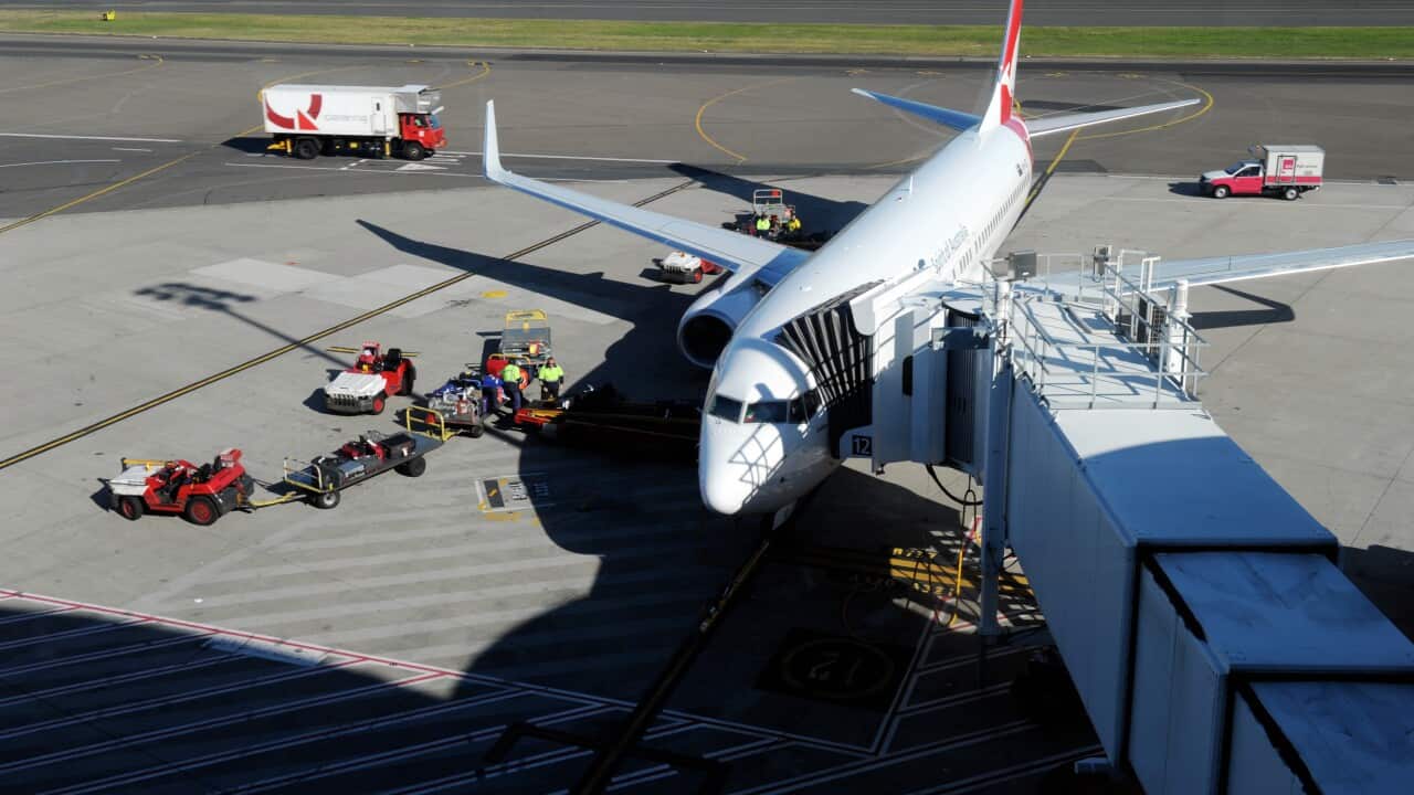 Baggage handlers unload luggage from a QANTAS plane at the domestic terminal in Sydney
