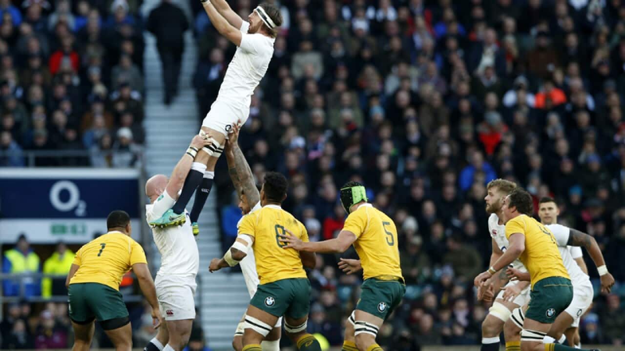 England's Tom Wood catches a line out against Australia