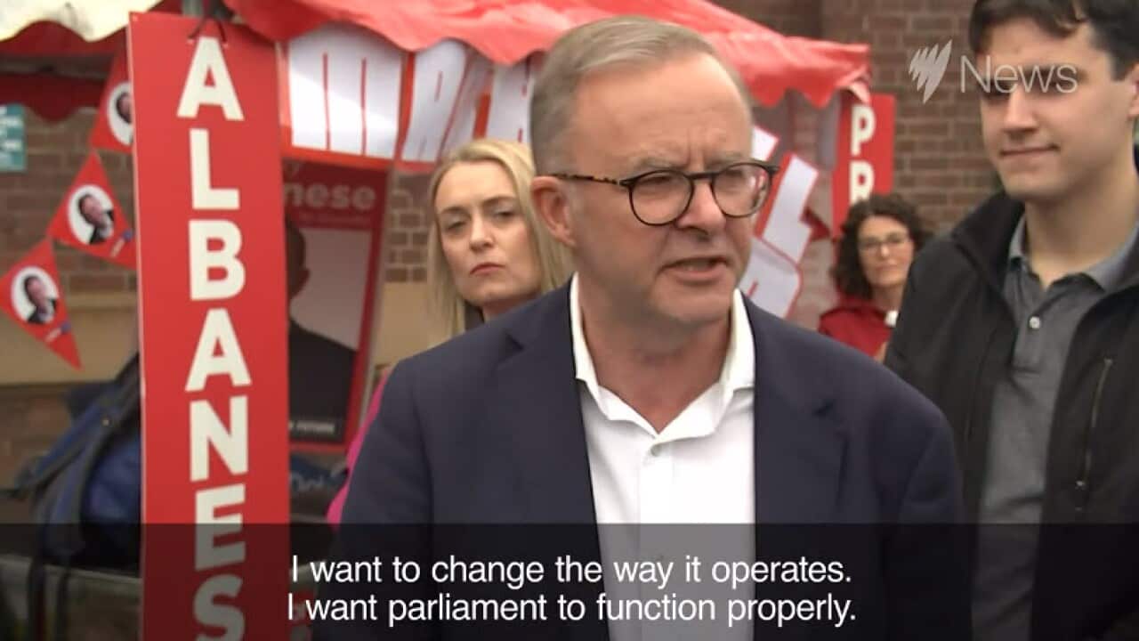 Anthony Albanese says he 'left nothing on the field' as voters head to the polls