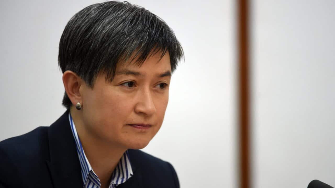 Labor senator Penny Wong was appointed Australia’s first climate change minister