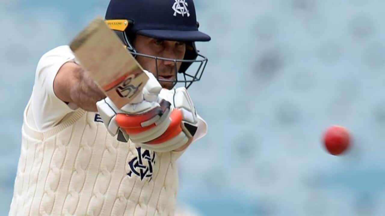Victoria's Glenn Maxwell in action