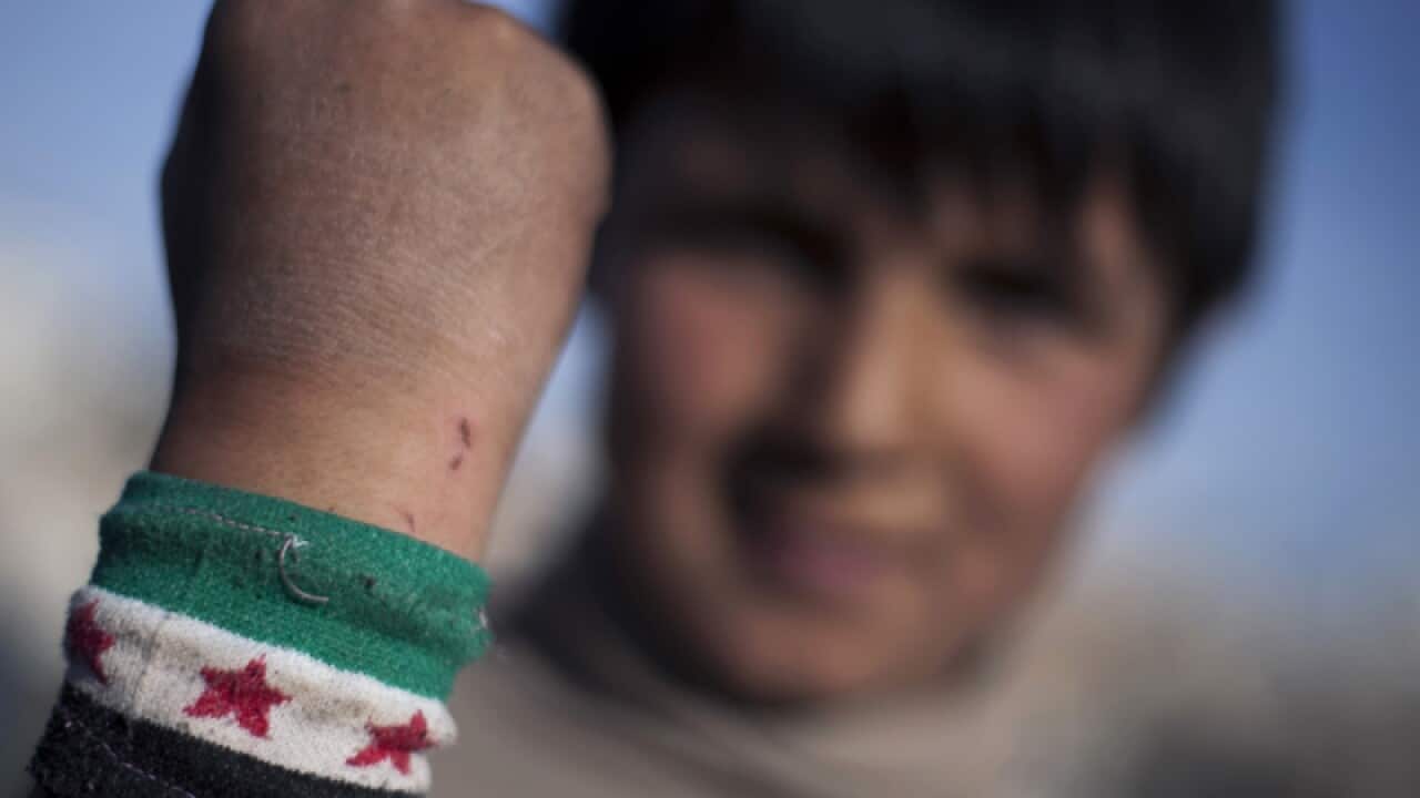 Ahmed Mahmoud, 12, shows his colours of the Syrian revolution flag.