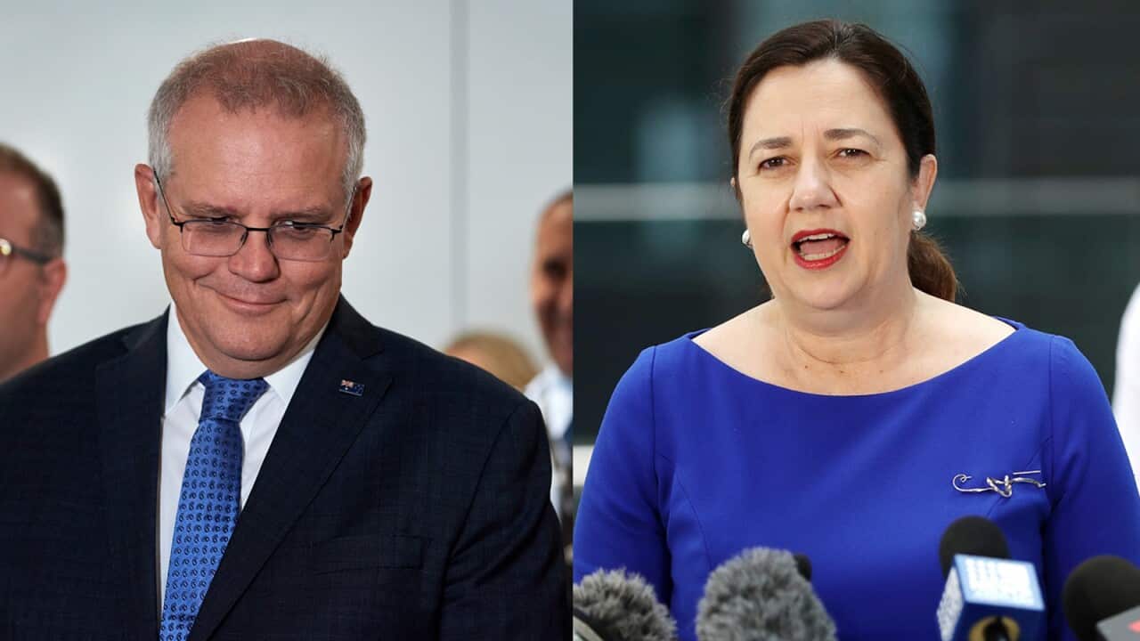 Queensland PM praises Morrison over international travel ban