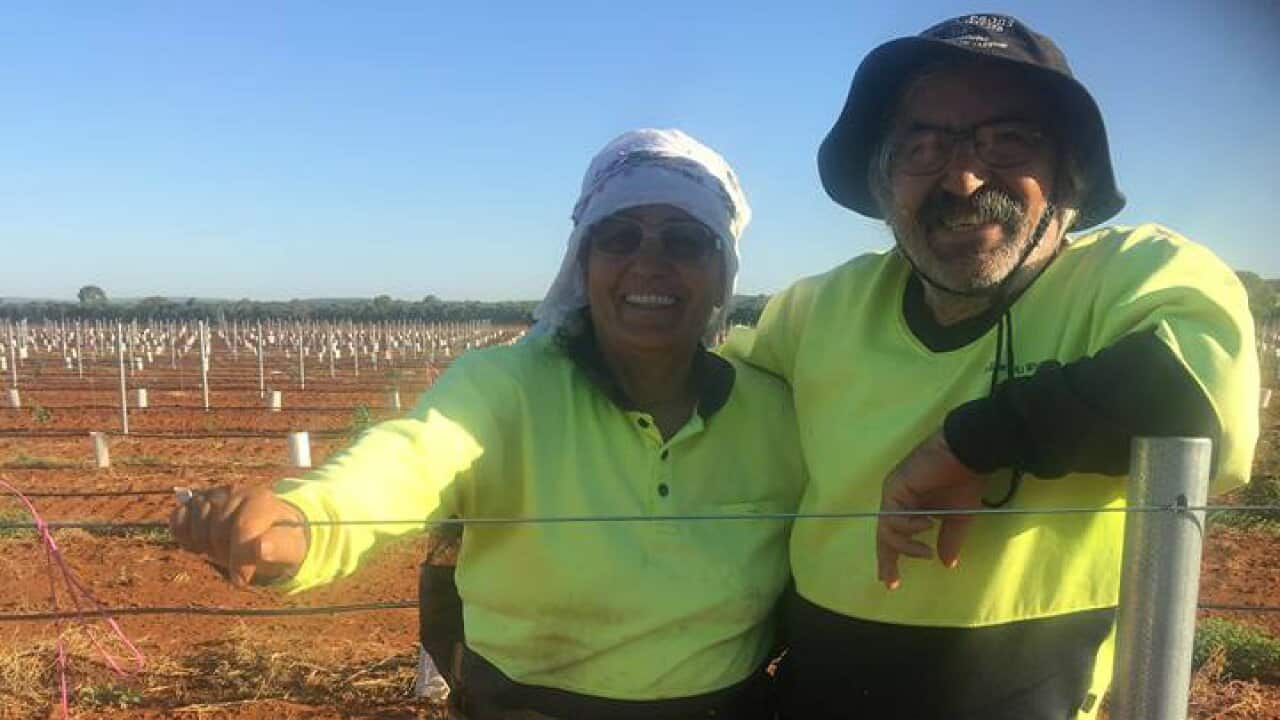 Suzan Kocakahya ve abisi Ruşen Kocakahya