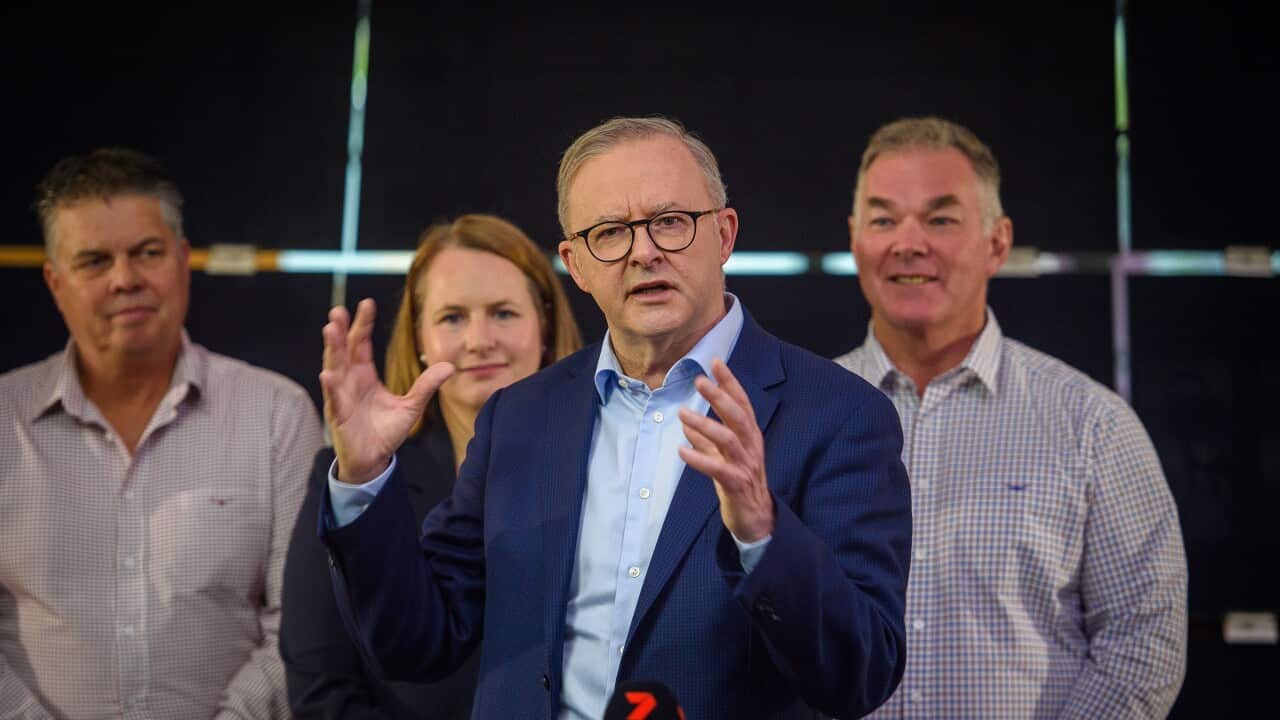 ANTHONY ALBANESE TOWNSVILLE VISIT