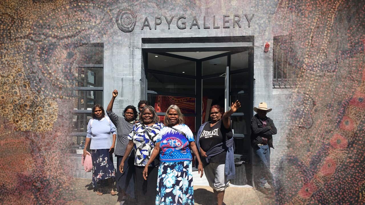 APY Gallery opening