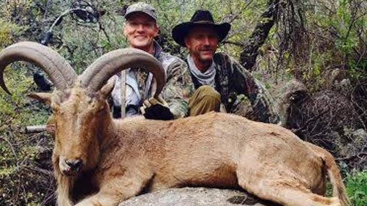 Palmer, a dentist from Minnesota who received widespread criticism on social media for killing Cecil. (Facebook)