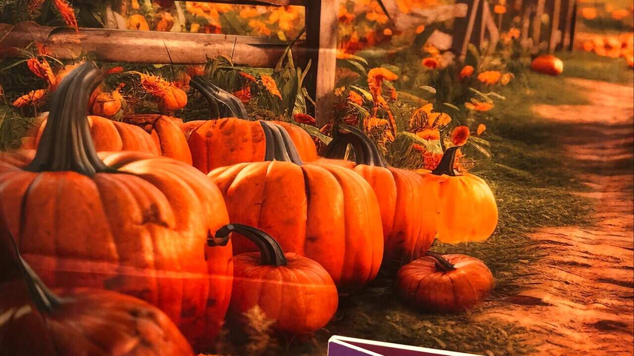 Halloween decorations.jpeg