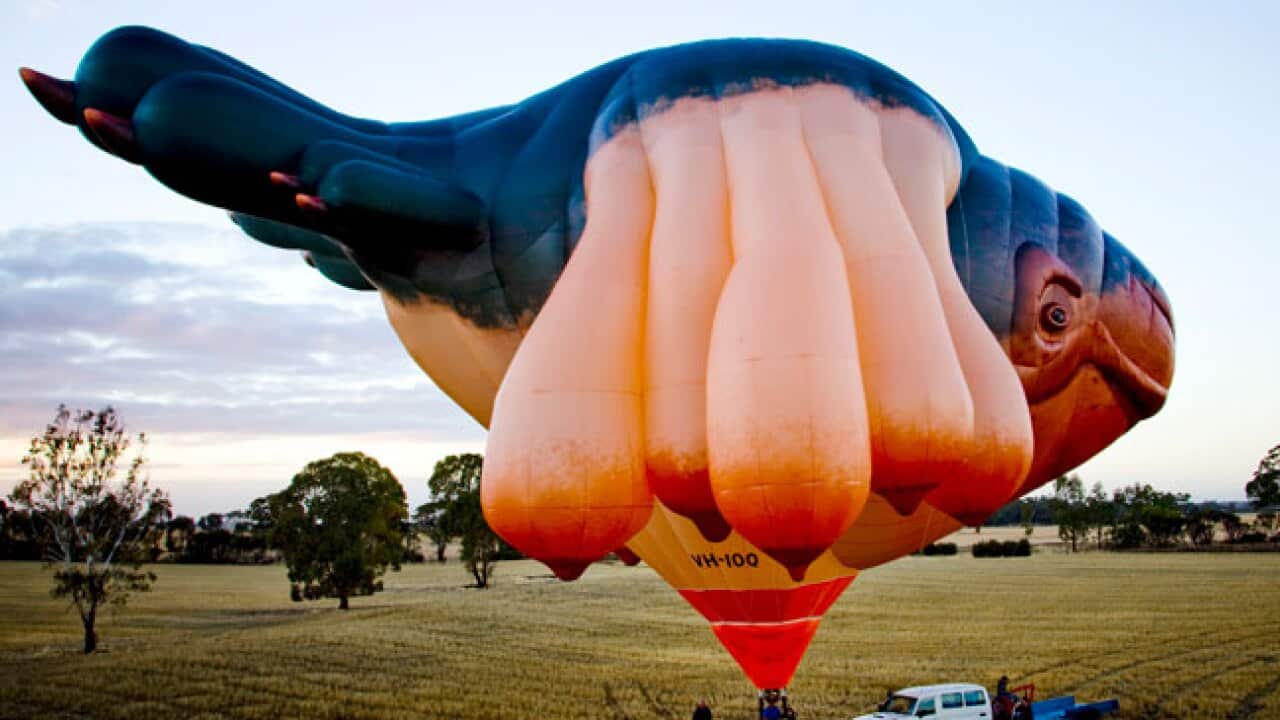 Skywhale_Canberra_52013_aap_1024217148
