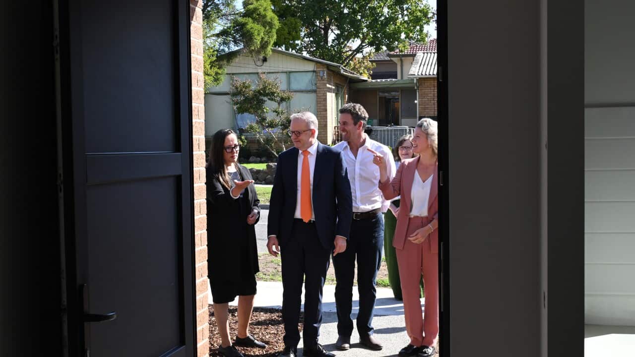 ELECTION25 ANTHONY ALBANESE CAMPAIGN