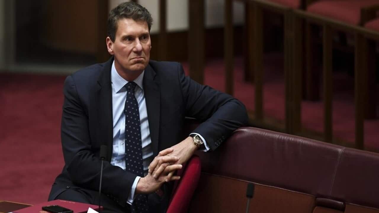 Cory Bernardi