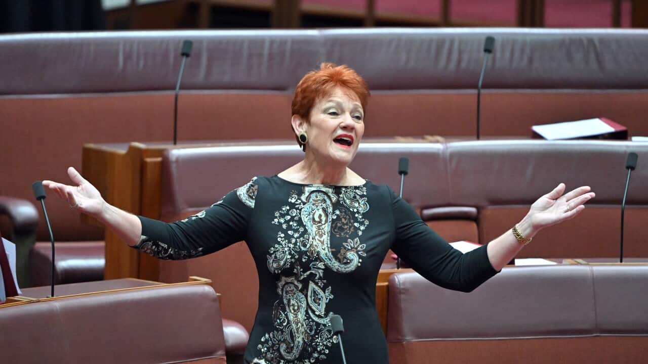 Pauline Hanson đảng One Nation đối mặt làn sóng phản đối vì phát ngôn chống Hồi giáo | SBS Vietnamese