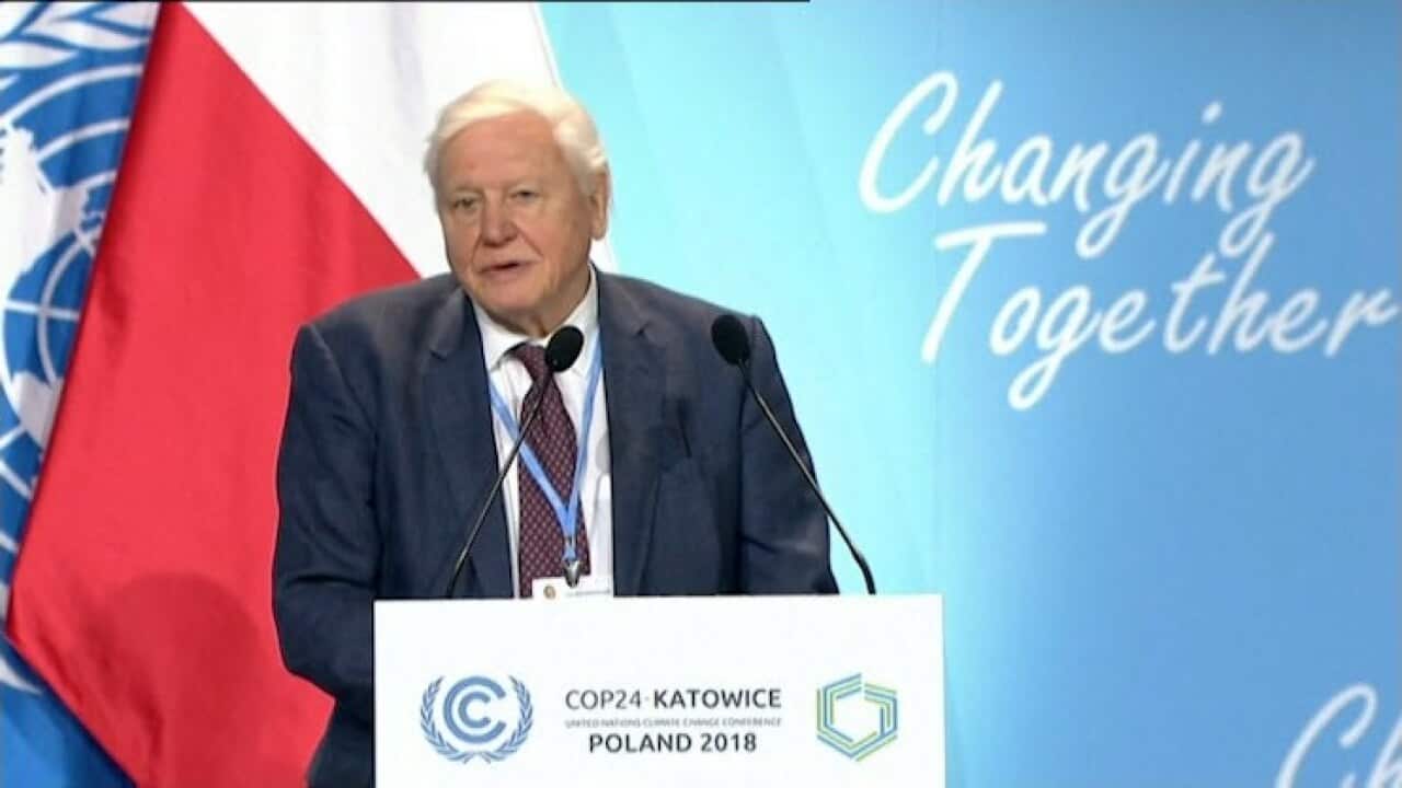 Sir David Attenborough at COP24.