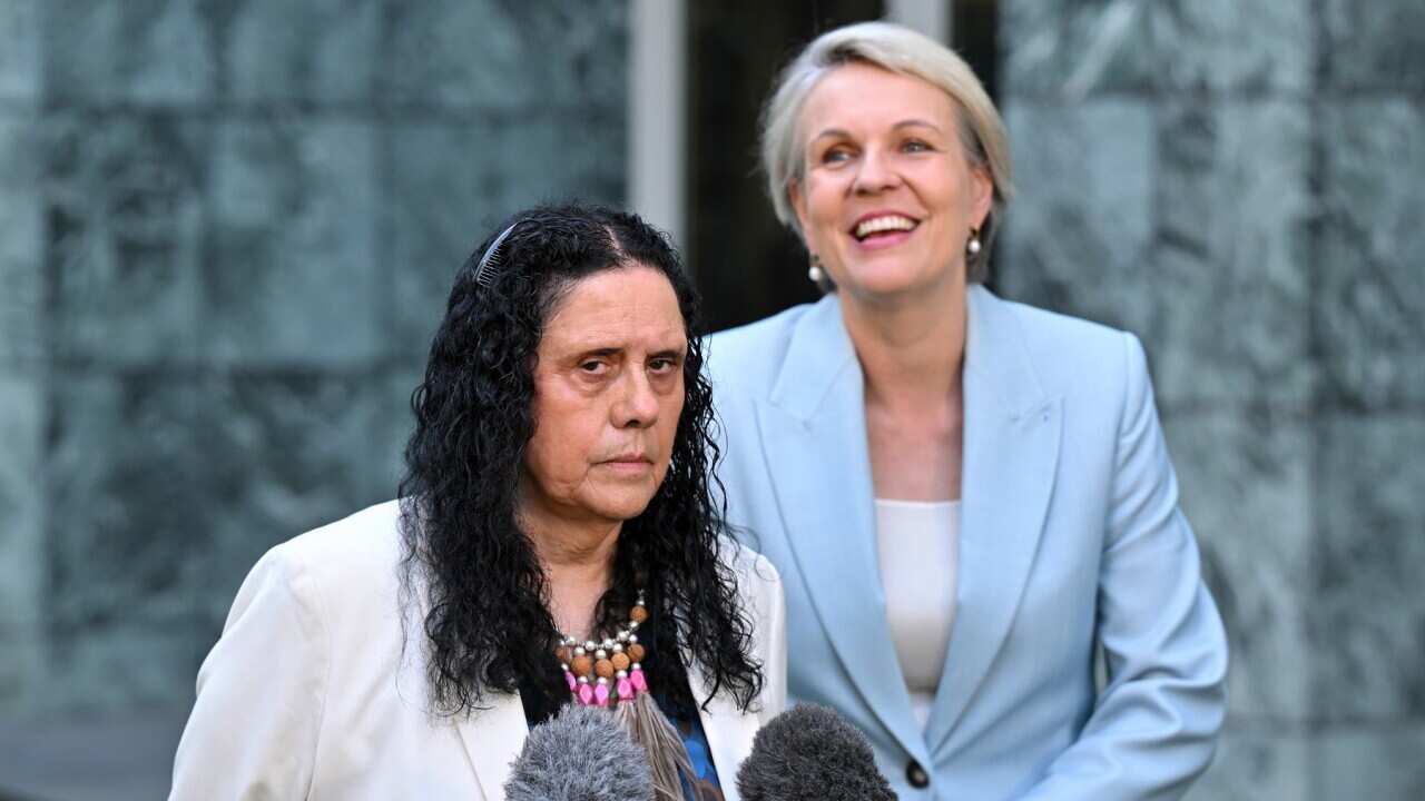 TANYA PLIBERSEK PRESSER