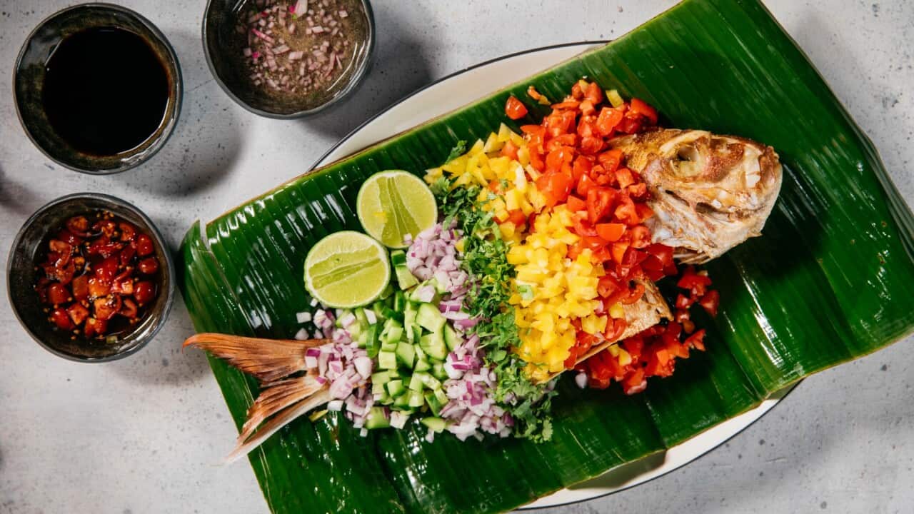 Red snapper de la reyna