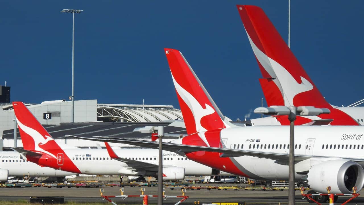 Qantas Flying Kangaroo Tails