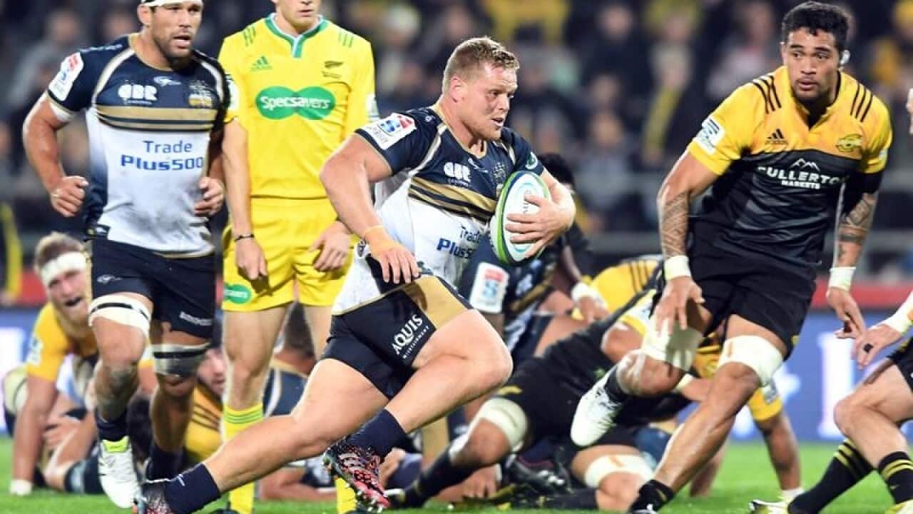 Brumbies