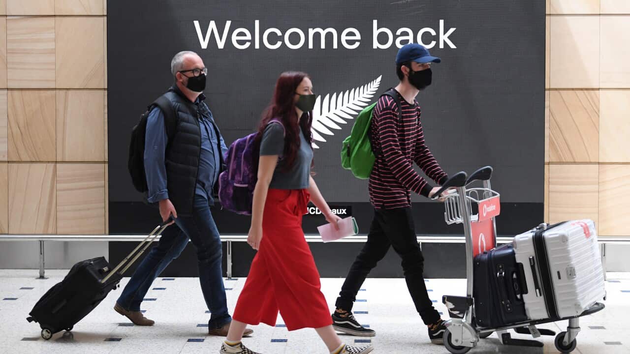 The first lot of passengers from New Zealand arrive at Sydney International Airport on Friday.