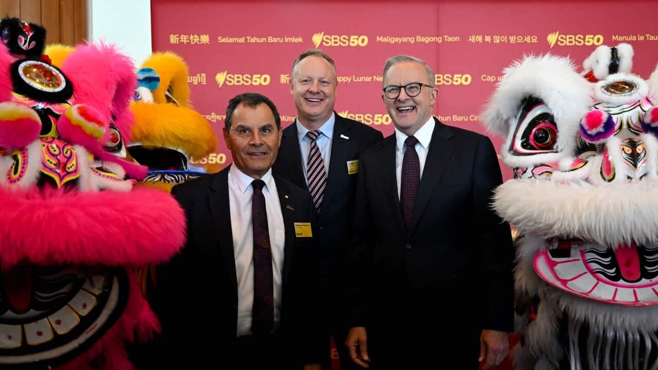 ANTHONY ALBANESE SBS 50TH ANNIVERSARY