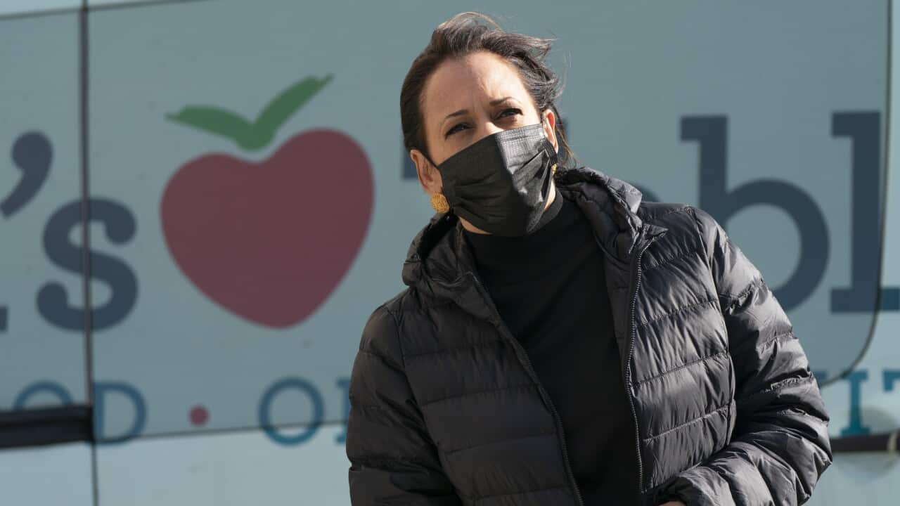 Kamala Harris speaks to the media after volunteering for the National Day of Service