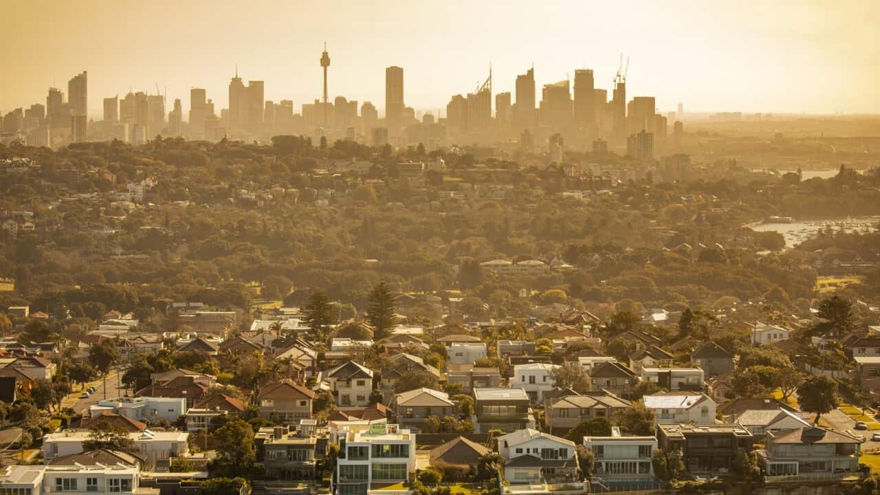 A baking hot day in Sydney