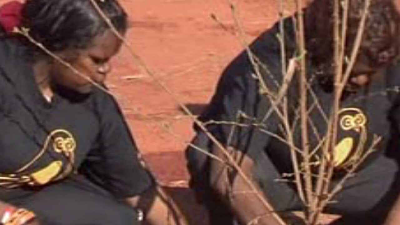 no_food_days_L_111010_sbs_1771688296