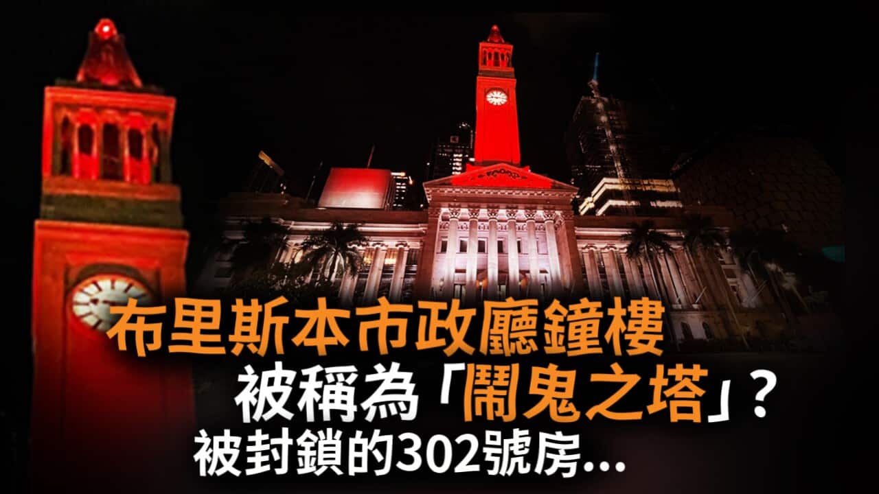 050625 TC BRISBANE CITYHALL THUMBNAIL.jpg